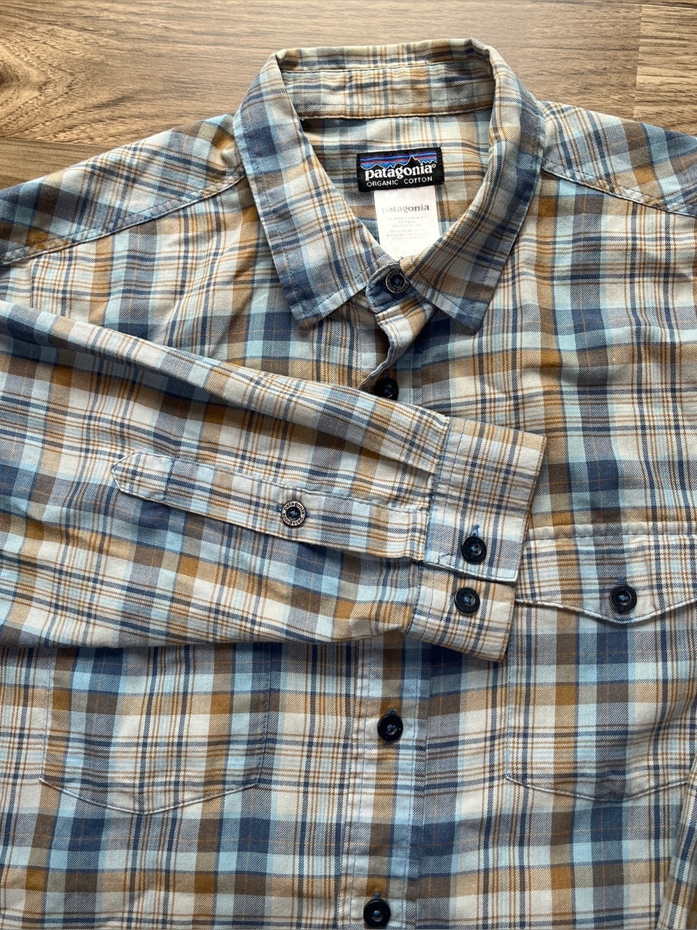 Patagonia Plaid Button-Down Shirt in Blue and Brown